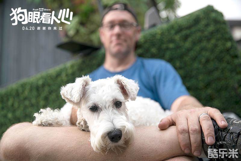 狗眼看人心
