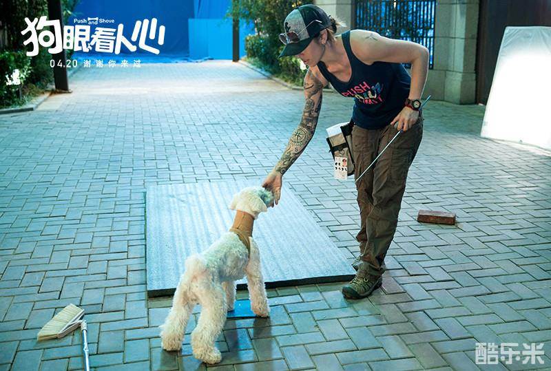 狗眼看人心
