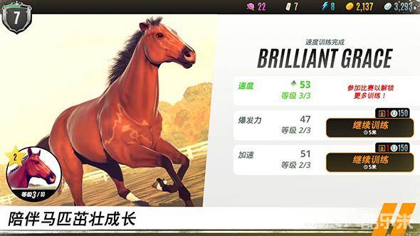 家族传奇:马匹养成竞技