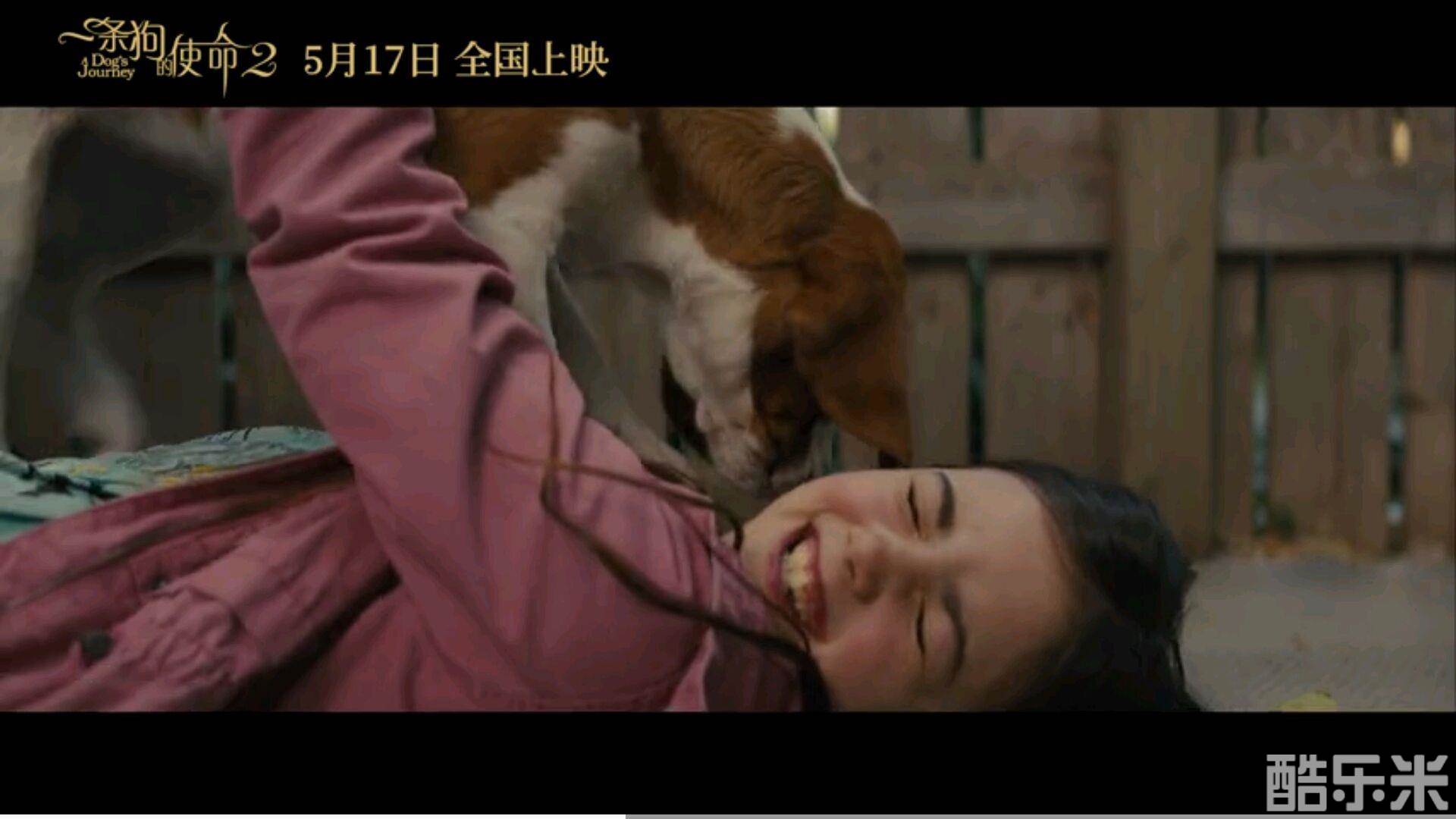 一条狗的使命2