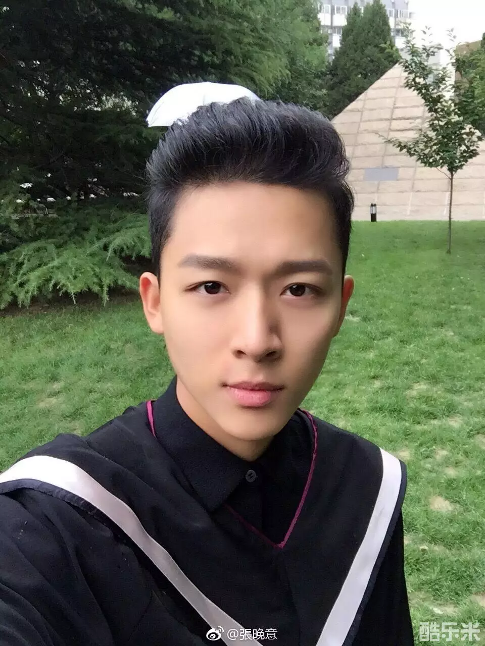 张晚意