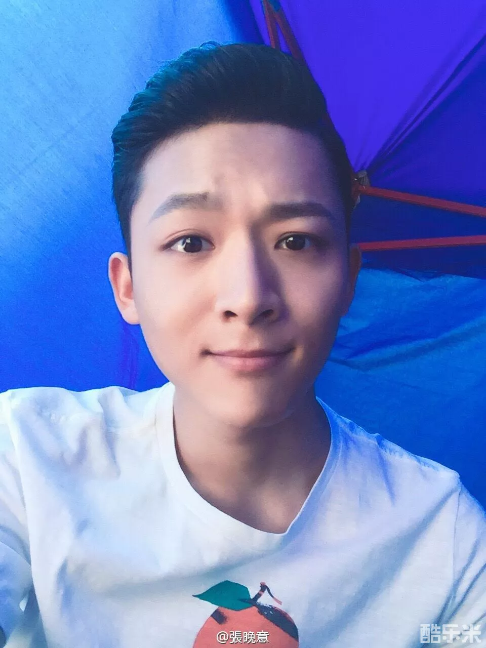 张晚意