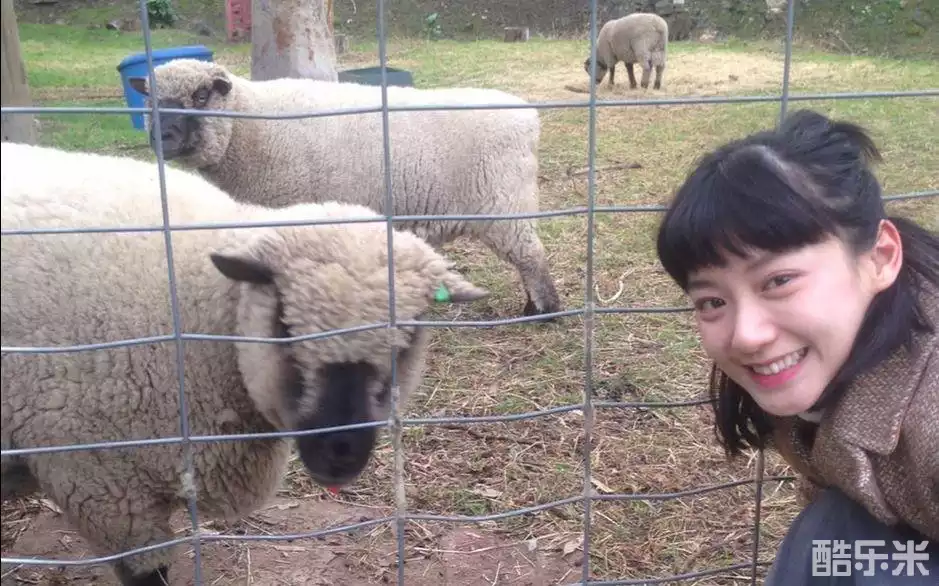 袁澧林
