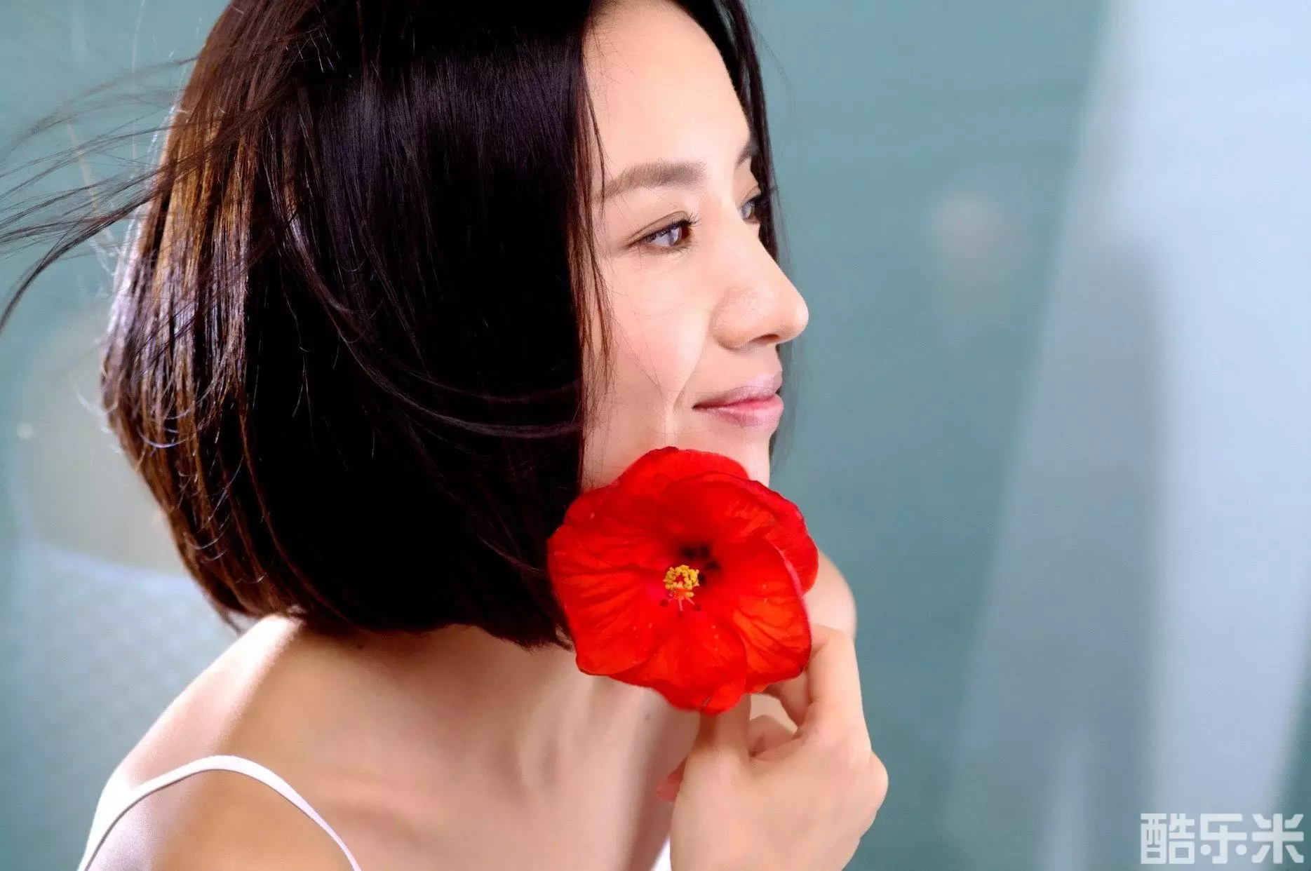 董洁