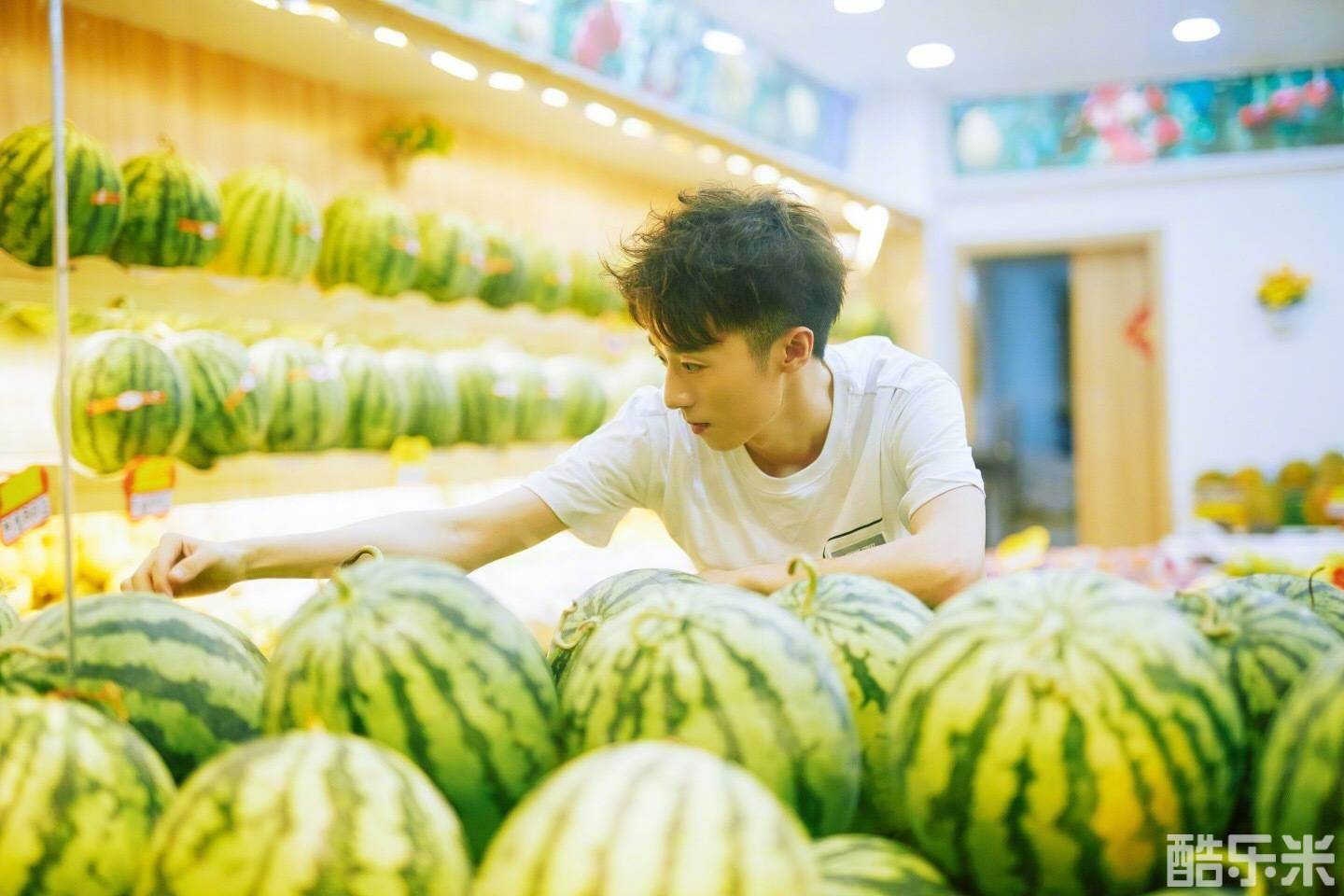 苑子文