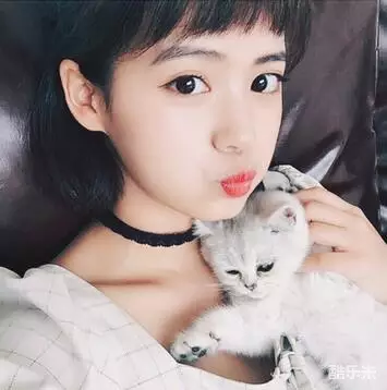 洪潇