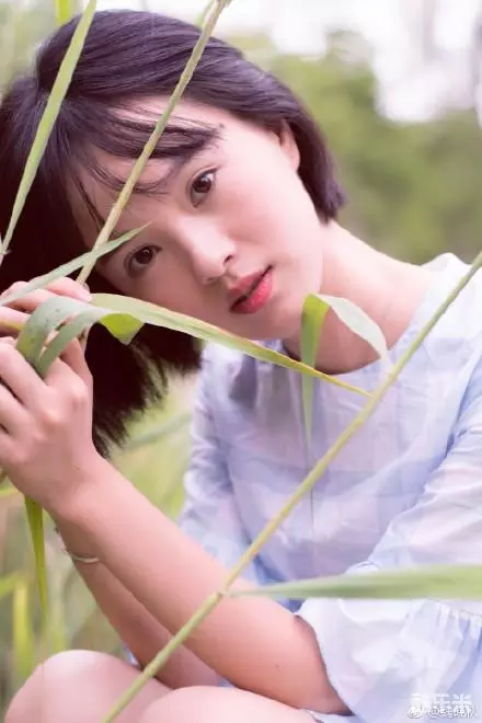 魏晚秋