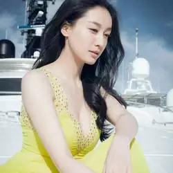 董维嘉