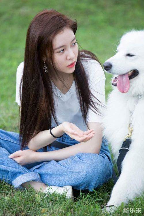 神犬小七第三季