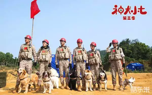 神犬小七第三季