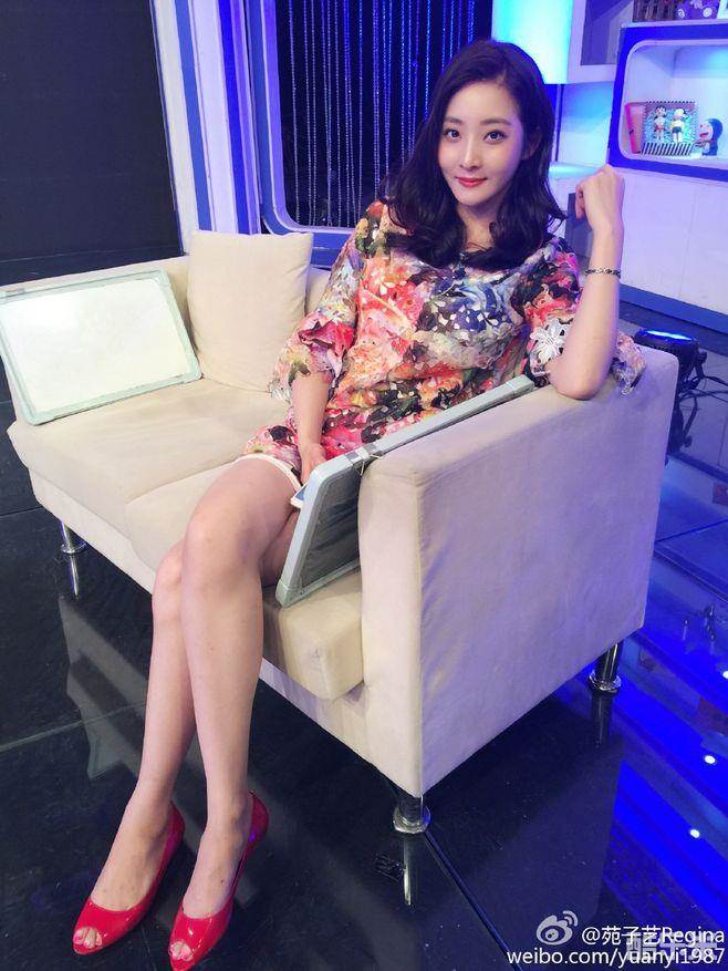 苑子艺