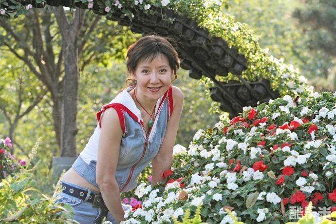 赵千紫