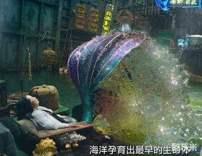 范淑珍