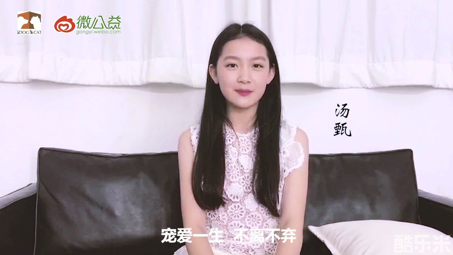 汤甄