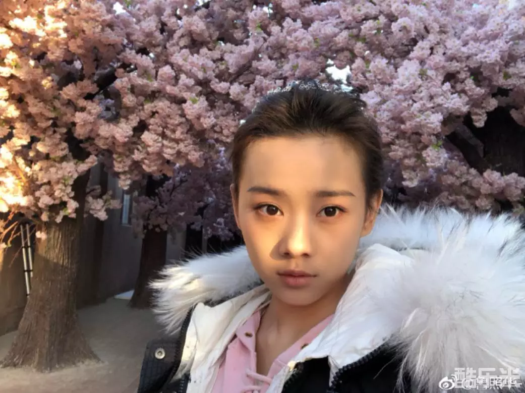 鲁照华