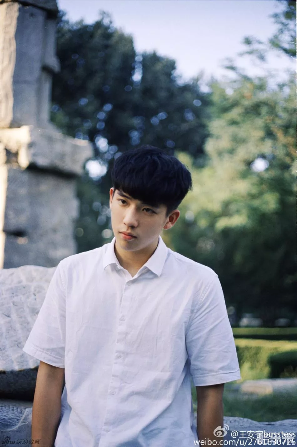 王安宇
