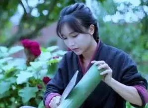 李子柒