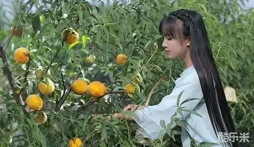 李子柒