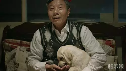 白利卫