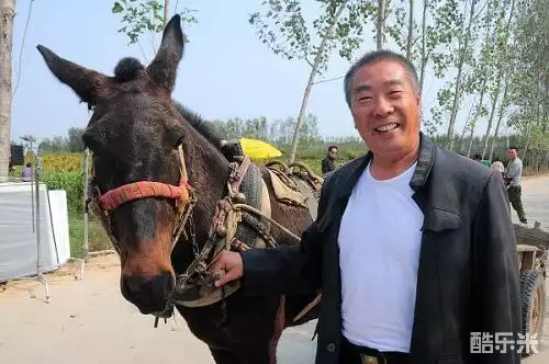 李迎旗