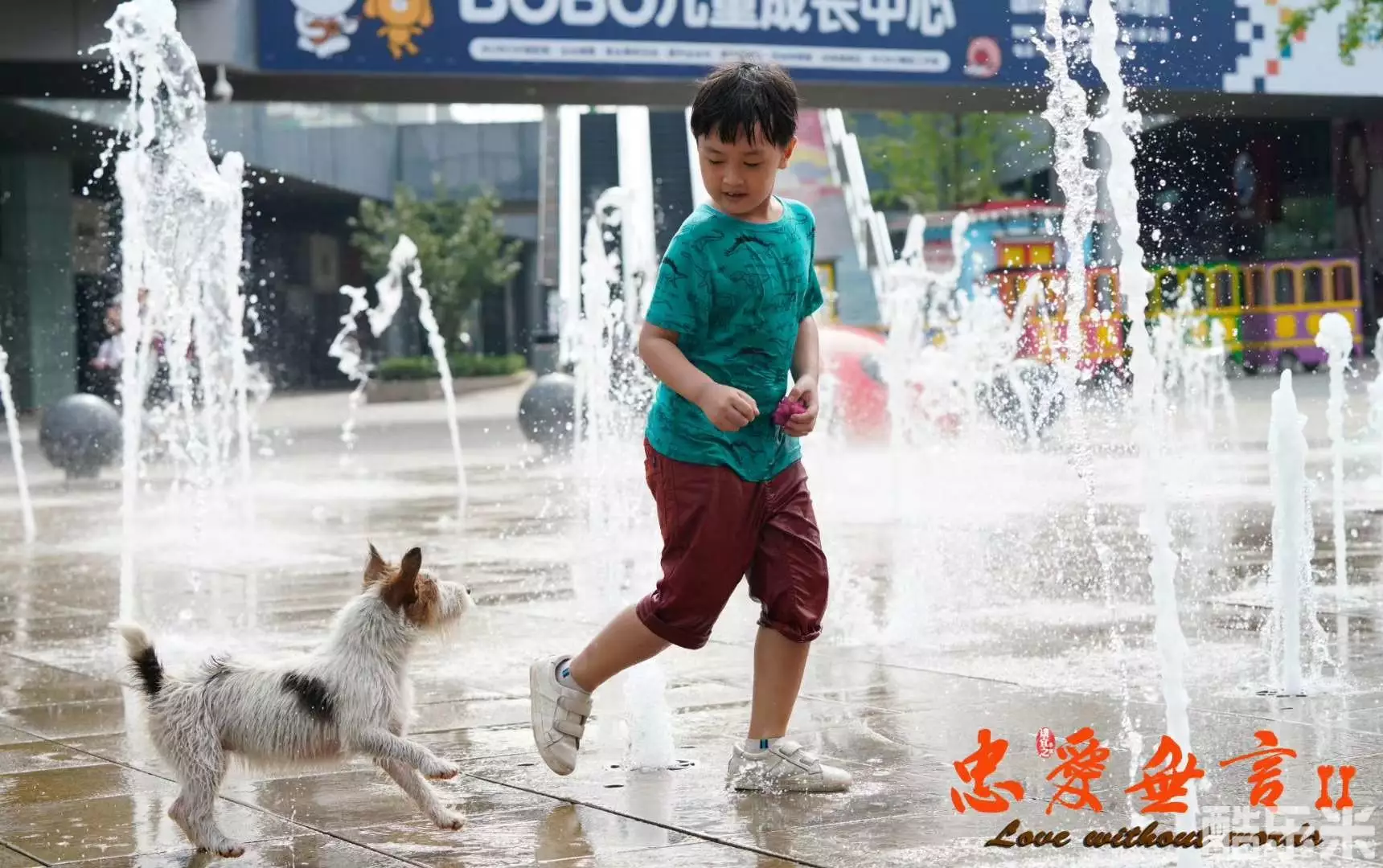 忠爱无言2