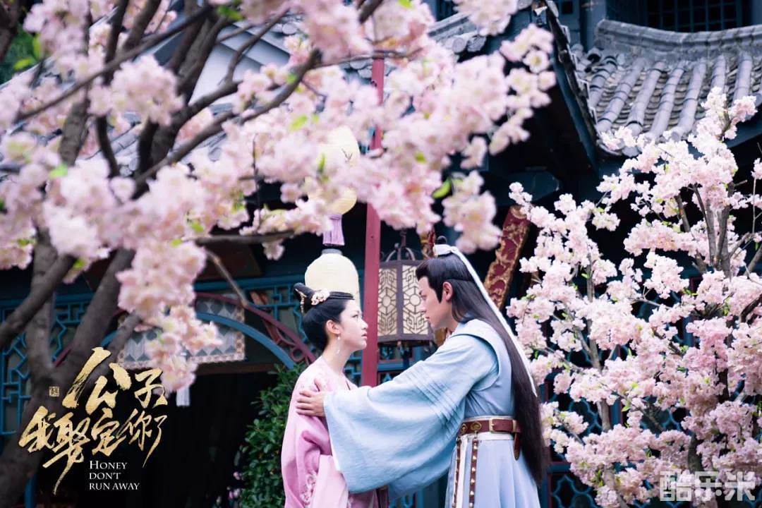 公子，我娶定你了