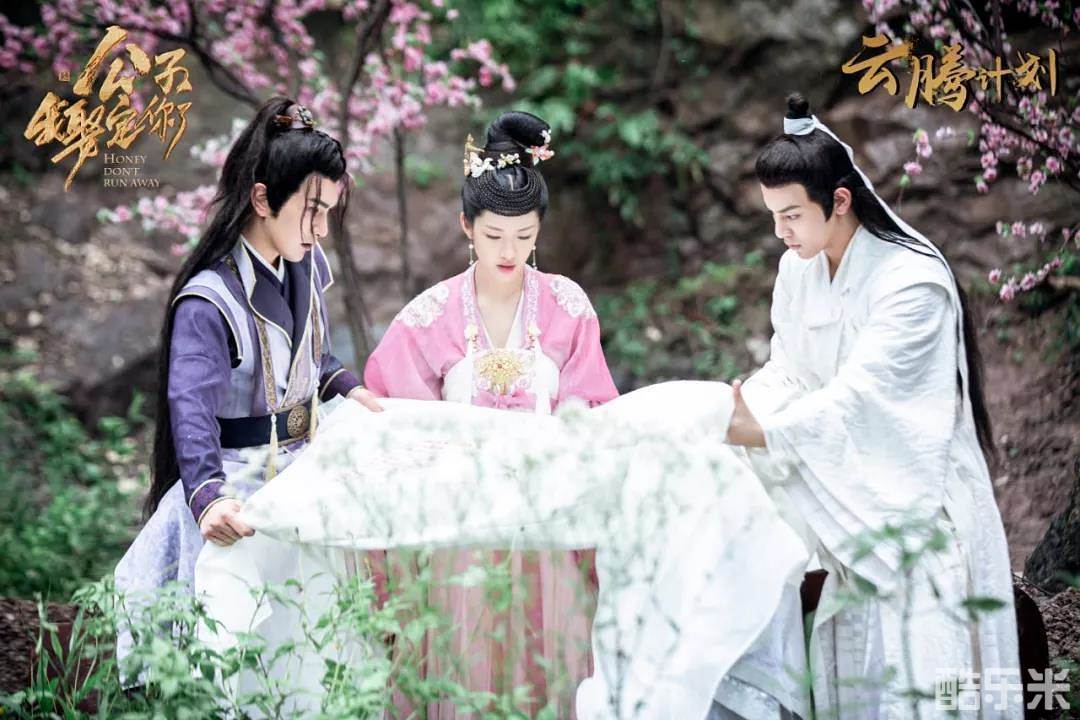 公子，我娶定你了