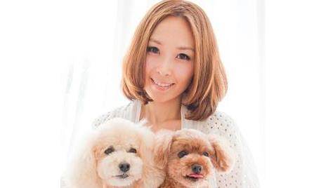 爱内里菜