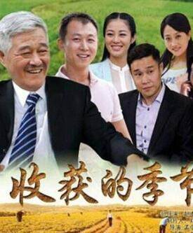 杨冰