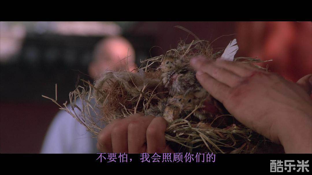 南北少林