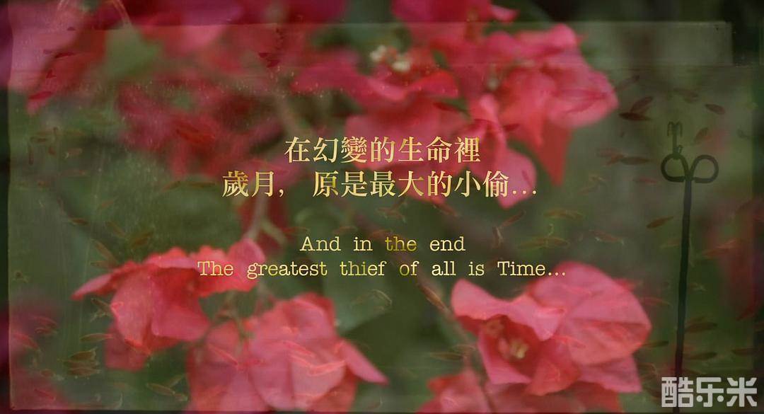 岁月神偷