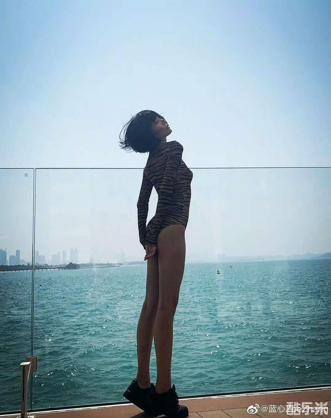 张蓝心