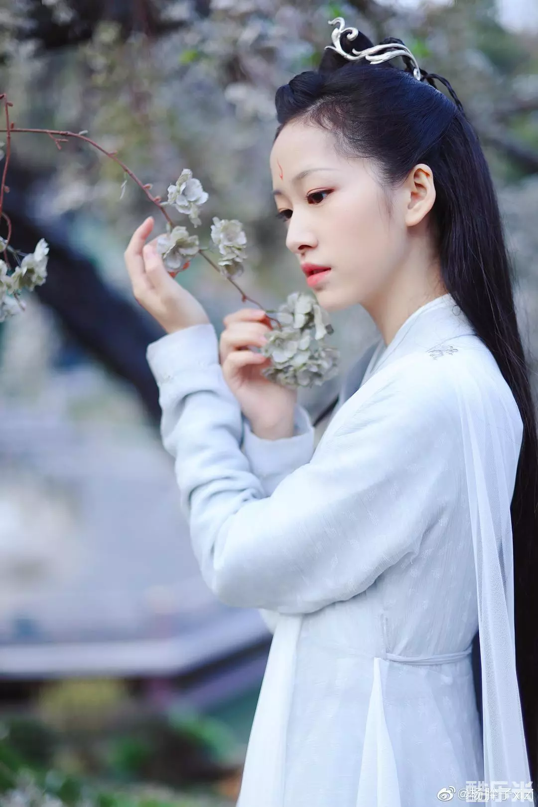 杨肸子