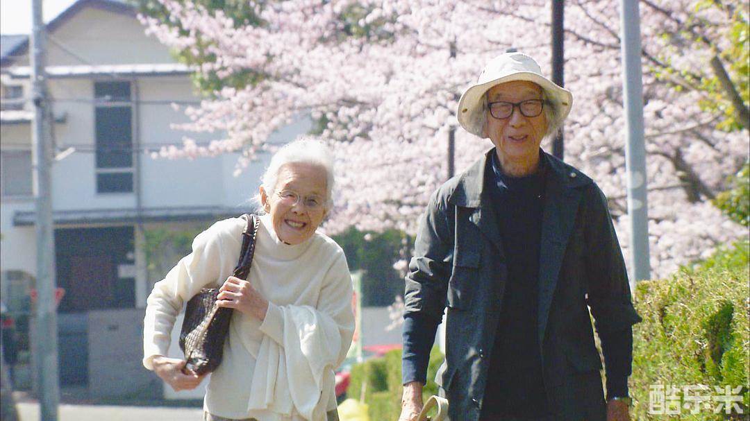 人生果实
