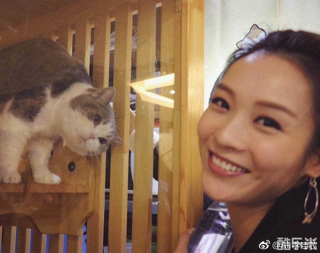 李佳芯