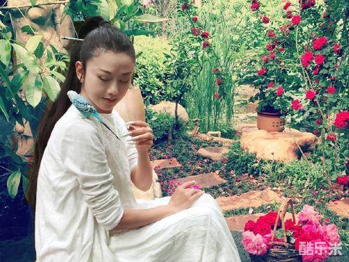 杨丽萍