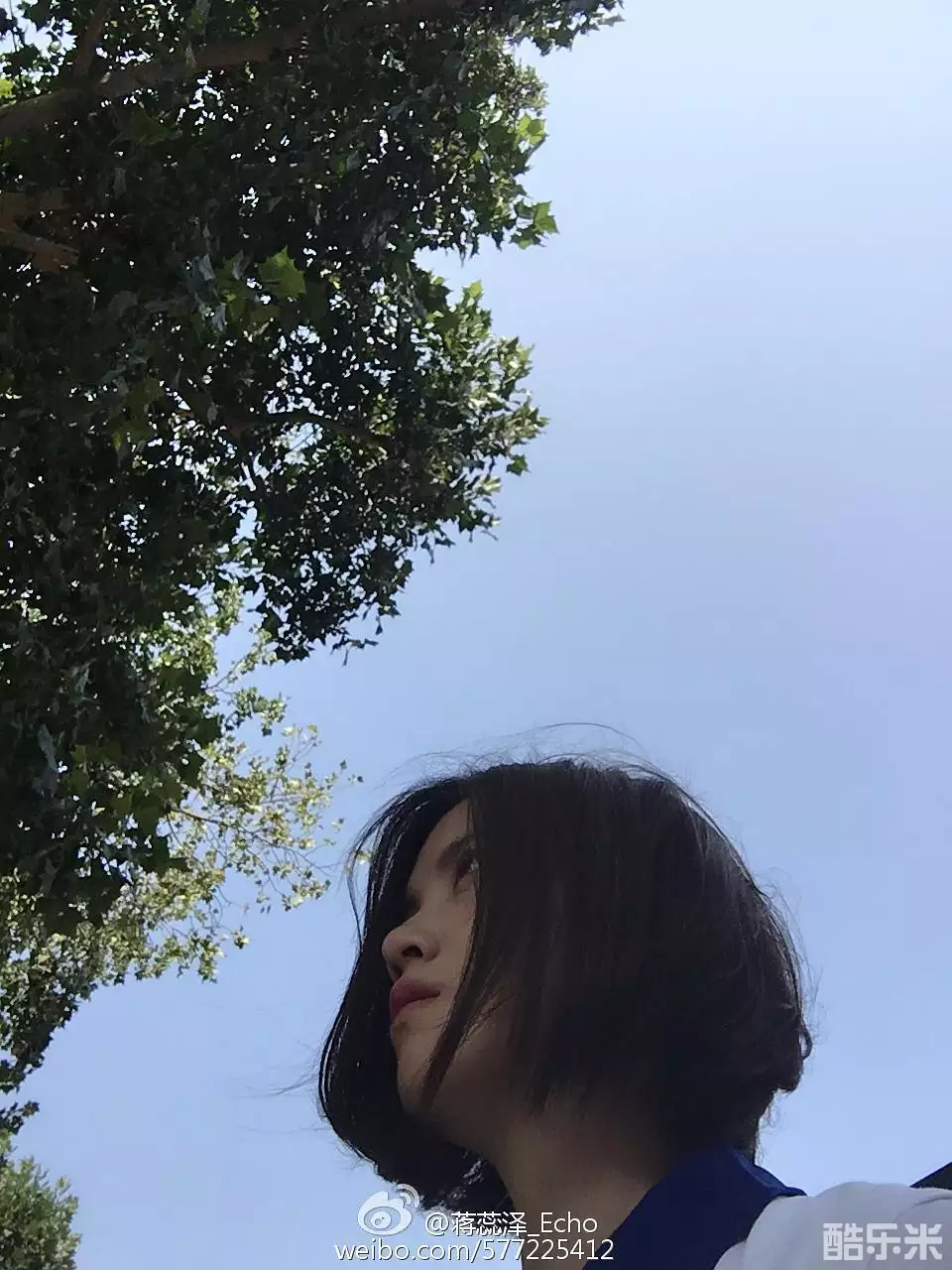 蒋蕊泽