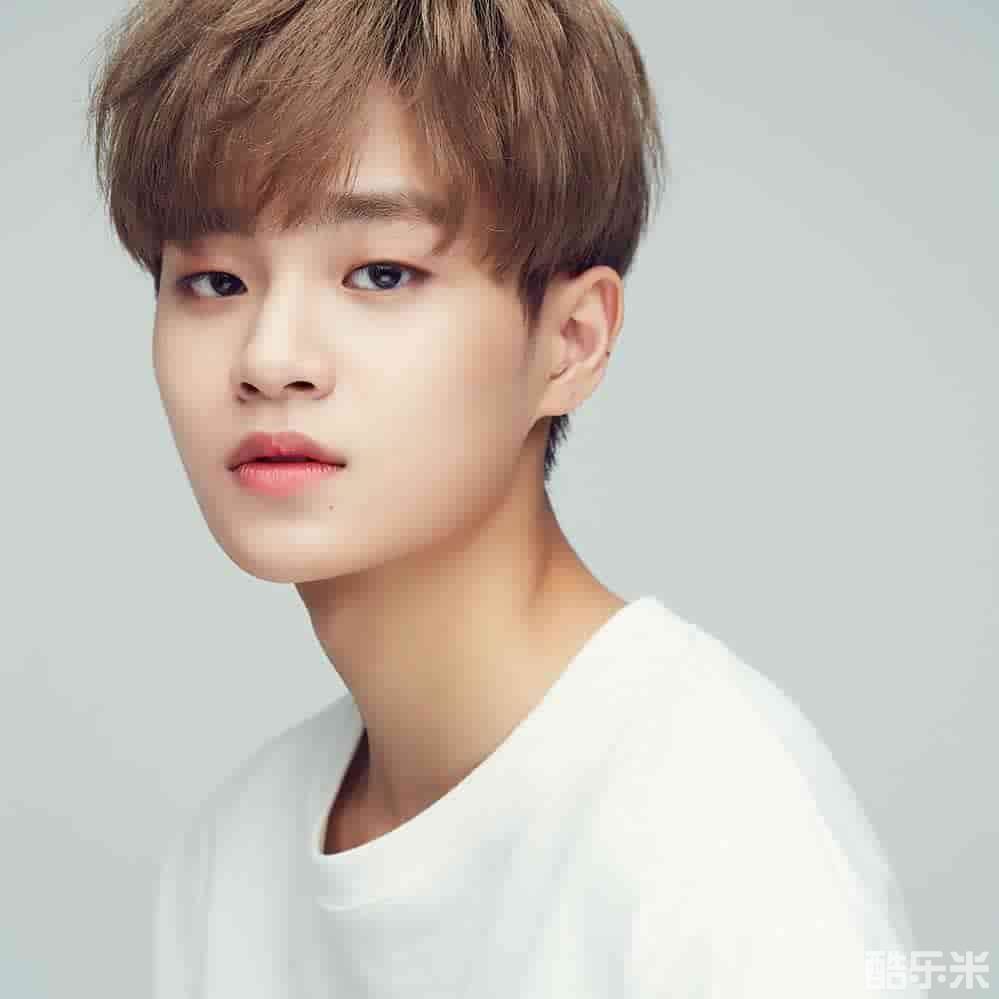 李大辉