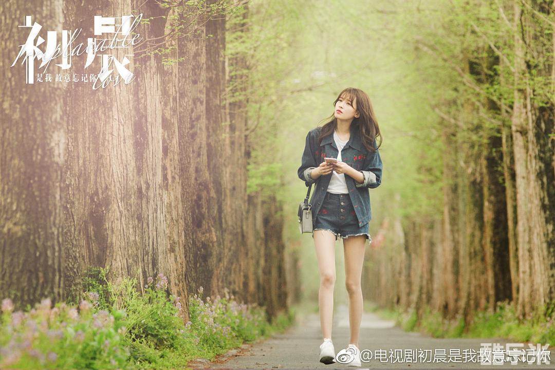 与晨同光