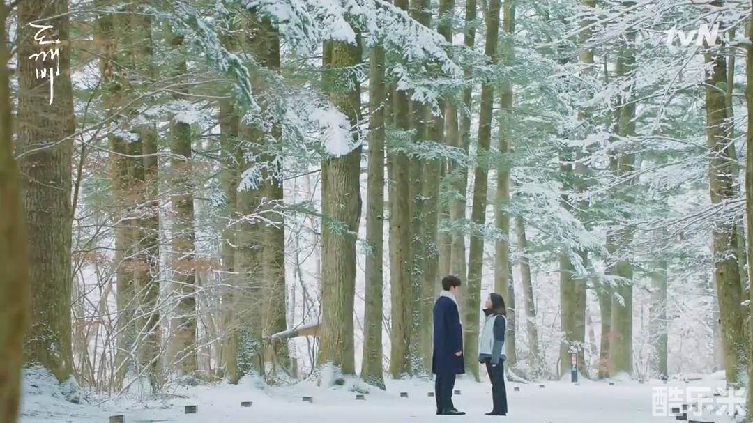 孤单又灿烂的神:鬼怪