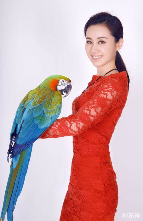 席与立