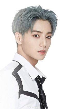 李振宁