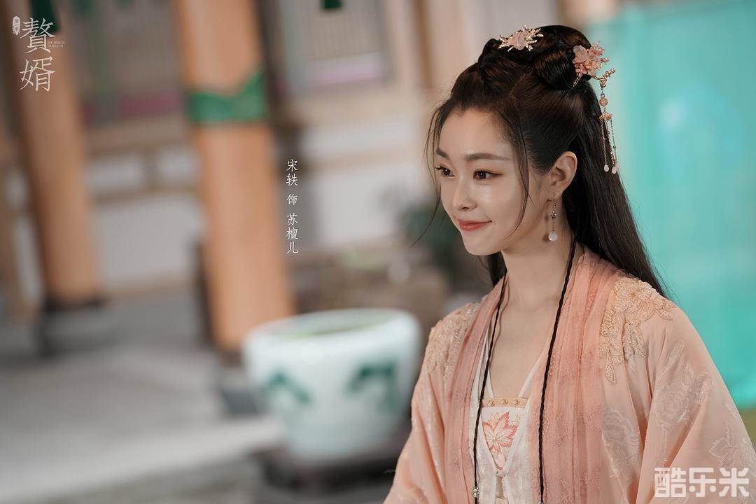 赘婿