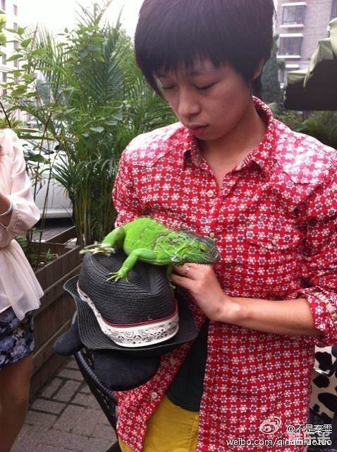 秦雯