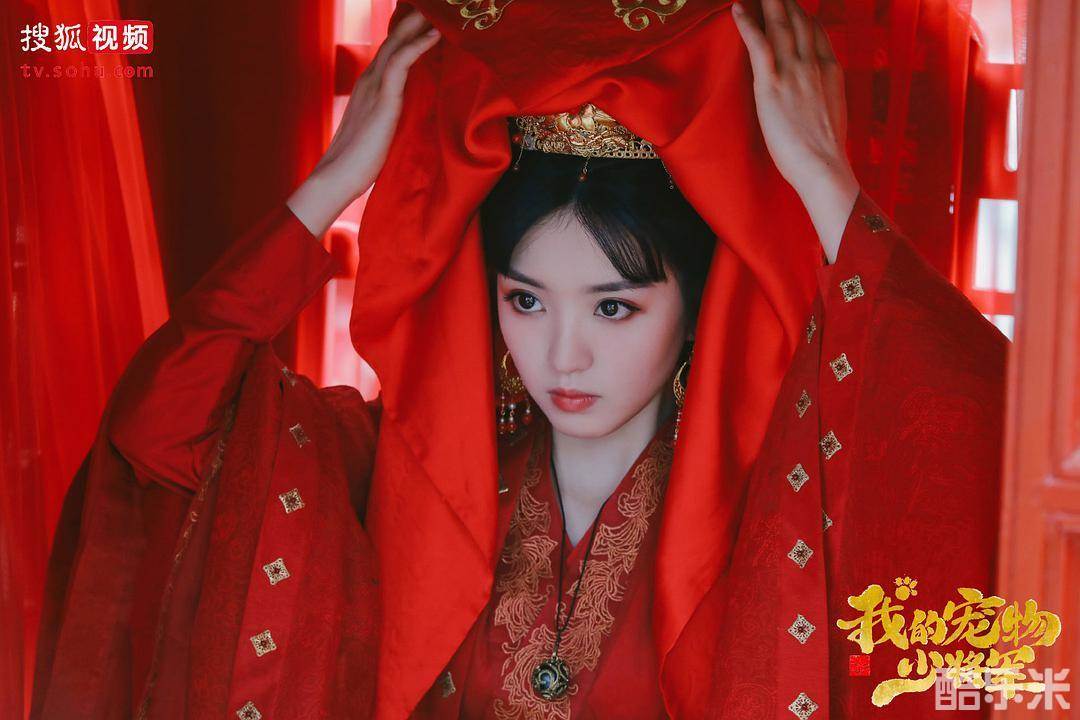 我的宠物少将军