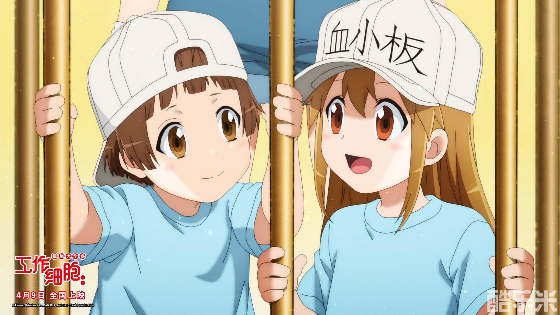 工作细胞：细胞大作战