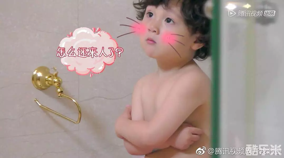 单禹豪