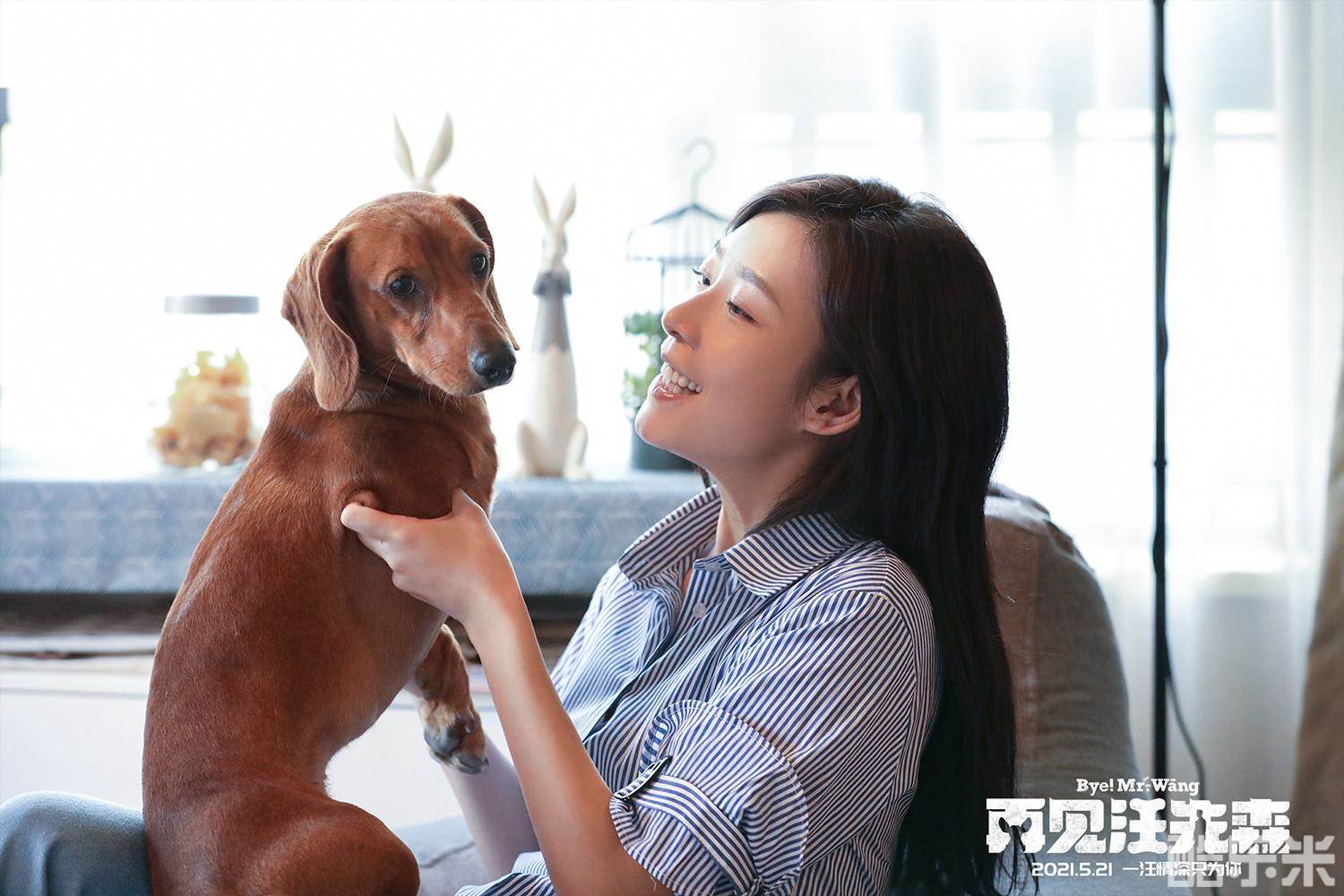 再见汪先森