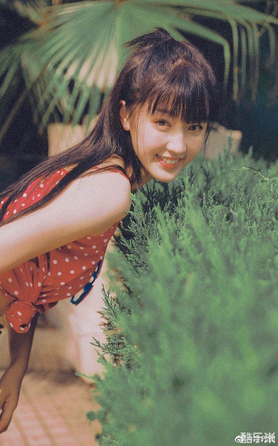 宗元圆