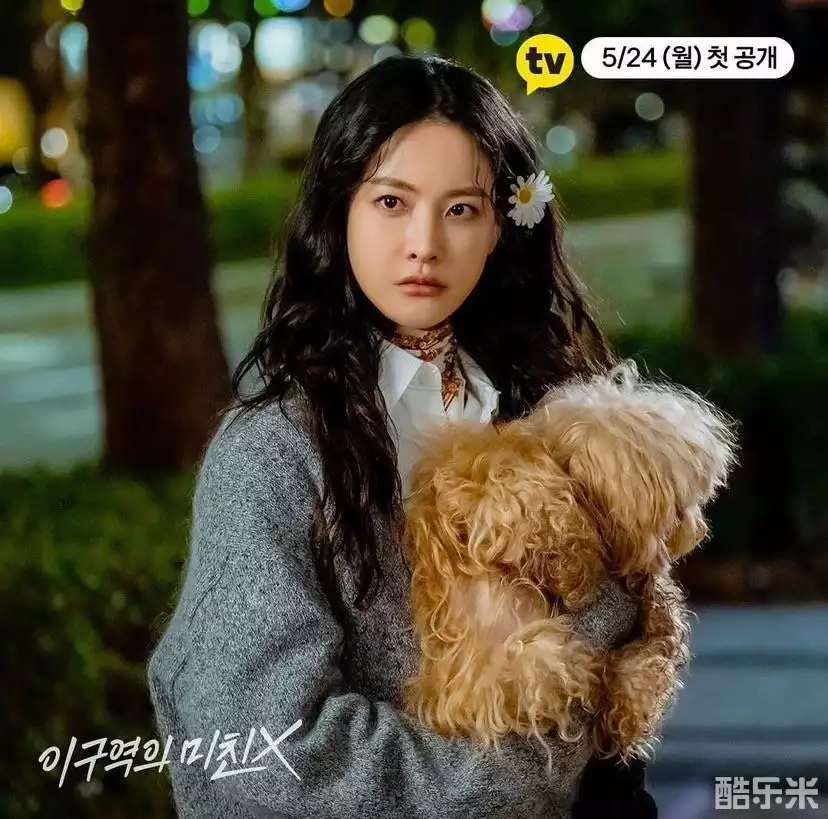 不疯不狂不爱你